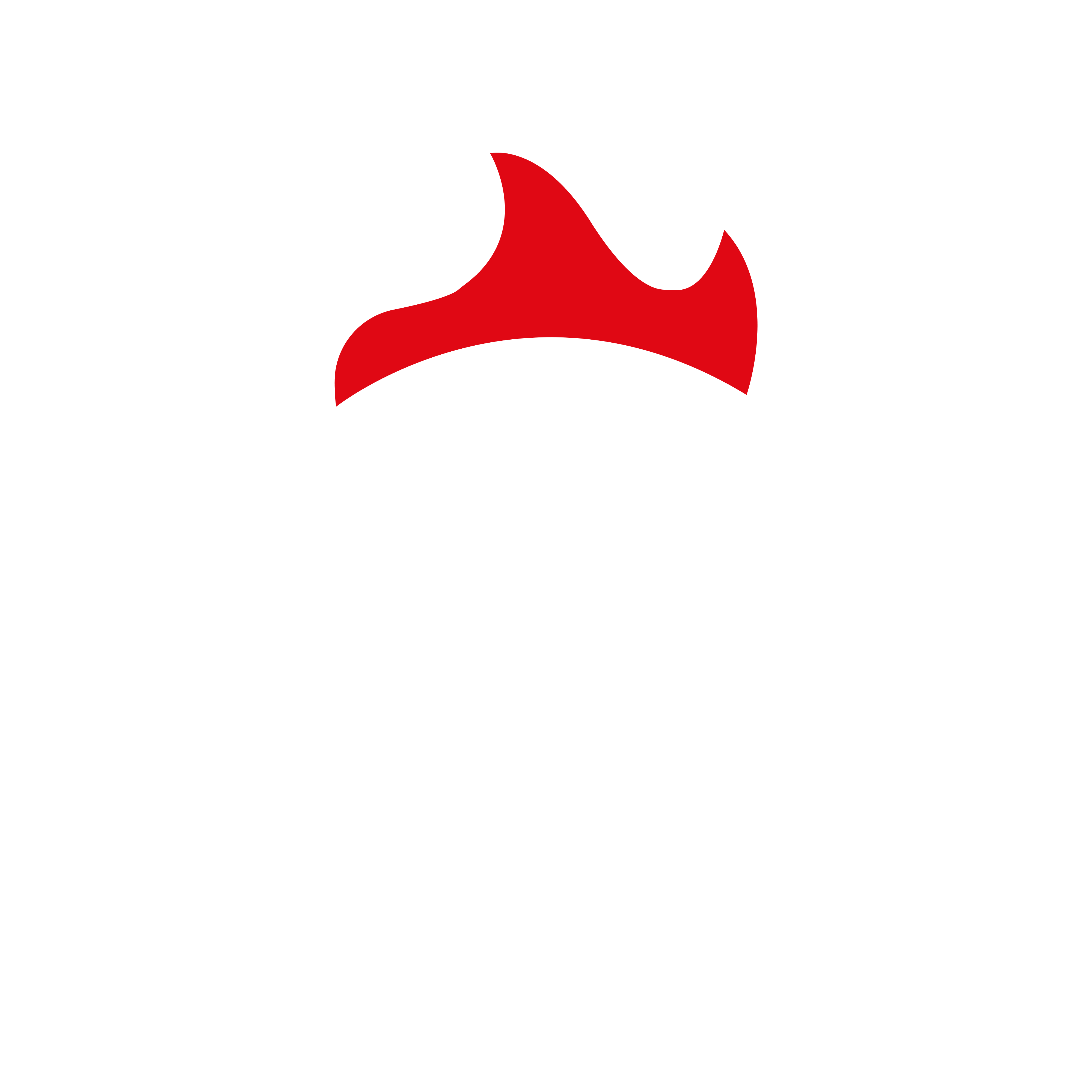 BABA'S BBQ Logo